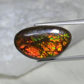 Ammolite naturale multicolore da 10,69 ct, forma fantasia, opaco