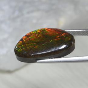 Ammolite naturale multicolore da 10,69 ct, forma fantasia, opaco