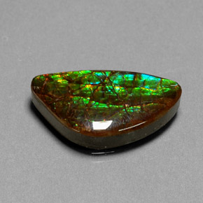 Ammolite naturale multicolore da 11,25 ct, forma fantasia, opaco