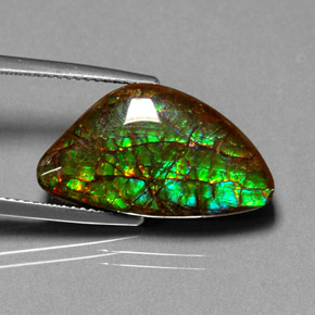 Ammolite naturale multicolore da 11,25 ct, forma fantasia, opaco