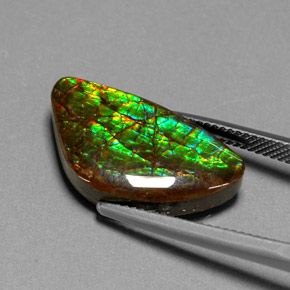 Ammolite naturale multicolore da 11,25 ct, forma fantasia, opaco