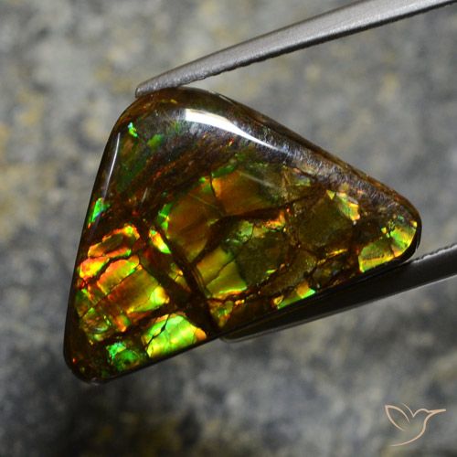11.39ct Naturale Multicolore Ammolite, Taglio a fantasia, Opaco