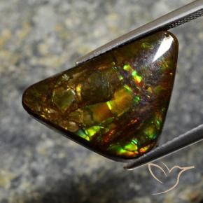 Ammolite Multicolore naturale da 11.39 ct, Taglio a fantasia, Opaco