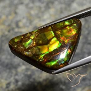 Ammolite Multicolore naturale da 11.39 ct, Taglio a fantasia, Opaco