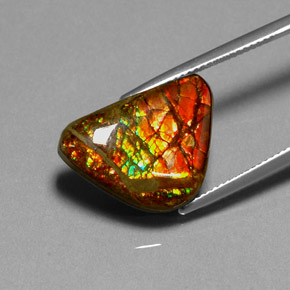 Ammolite naturale multicolore da 11,49 ct, forma fantasia, opaco