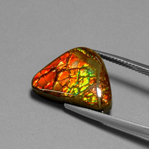Ammolite naturale multicolore da 11,49 ct, forma fantasia, opaco