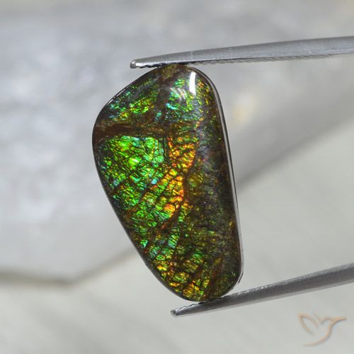 11.60ct Naturale Multicolore Ammolite, Taglio a fantasia, Opaco