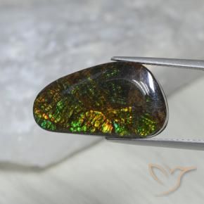 Ammolite Multicolore naturale da 11.60 ct, Taglio a fantasia, Opaco