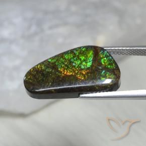 Ammolite Multicolore naturale da 11.60 ct, Taglio a fantasia, Opaco