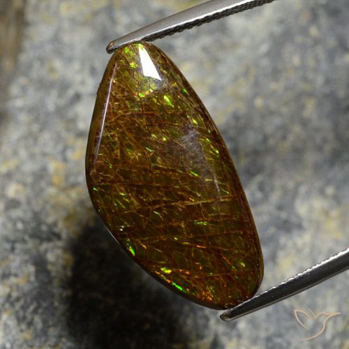 11.88ct Naturale Multicolore Ammolite, Taglio a fantasia, Opaco