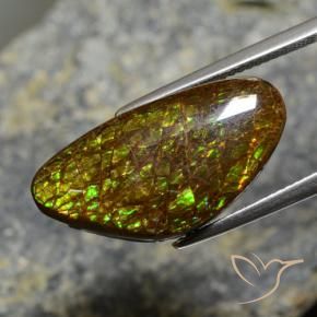 Ammolite Multicolore naturale da 11.88 ct, Taglio a fantasia, Opaco