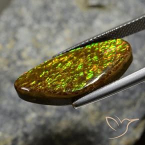 Ammolite Multicolore naturale da 11.88 ct, Taglio a fantasia, Opaco