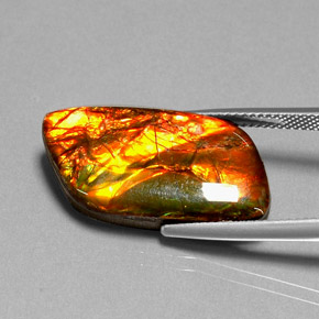 Ammolite naturale multicolore da 11,92 ct, forma fantasia, opaco