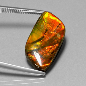 Ammolite naturale multicolore da 11,92 ct, forma fantasia, opaco