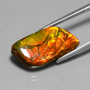 Ammolite naturale multicolore da 11,92 ct, forma fantasia, opaco
