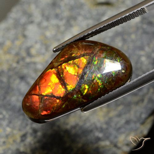 11.96ct Naturale Multicolore Ammolite, Taglio a fantasia, Opaco