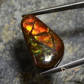 Ammolite Multicolore naturale da 11.96 ct, Taglio a fantasia, Opaco