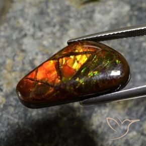 Ammolite Multicolore naturale da 11.96 ct, Taglio a fantasia, Opaco