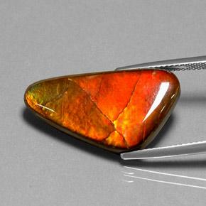 Ammolite Multicolore naturale da 12.20 ct, Forma fantasia, Opaco