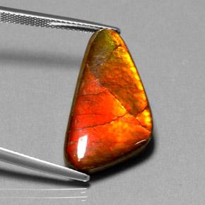 Ammolite Multicolore naturale da 12.20 ct, Forma fantasia, Opaco