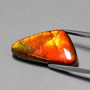 Ammolite Multicolore naturale da 12.20 ct, Forma fantasia, Opaco