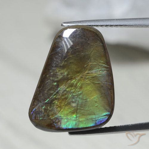 12.08ct Naturale Multicolore Ammolite, Taglio a fantasia, Opaco