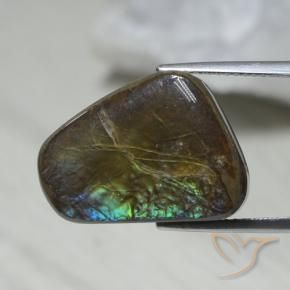 Ammolite Multicolore naturale da 12.08 ct, Taglio a fantasia, Opaco
