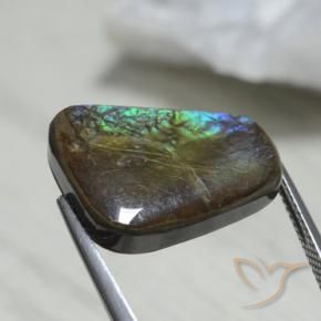 Ammolite Multicolore naturale da 12.08 ct, Taglio a fantasia, Opaco