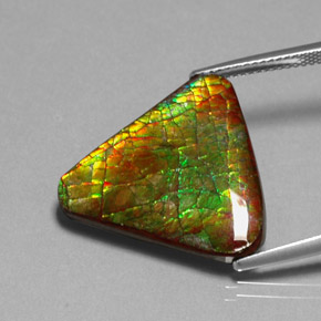 Ammolite naturale multicolore da 12,71 ct, forma fantasia, opaco