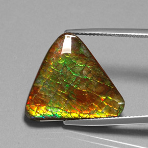 Ammolite naturale multicolore da 12,71 ct, forma fantasia, opaco