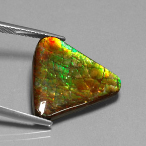 Ammolite naturale multicolore da 12,71 ct, forma fantasia, opaco