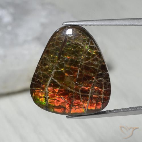 13.62ct Naturale Multicolore Ammolite, Taglio a fantasia, Opaco