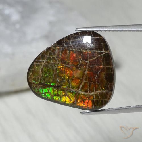 Ammolite Multicolore naturale da 13.62 ct, Taglio a fantasia, Opaco