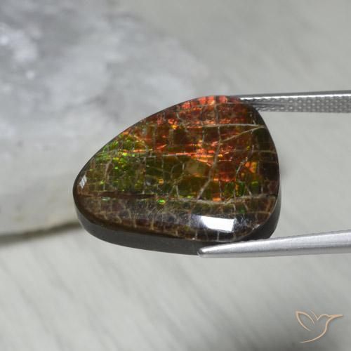 Ammolite Multicolore naturale da 13.62 ct, Taglio a fantasia, Opaco