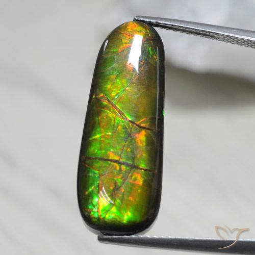 13.66ct Naturale Multicolore Ammolite, Taglio a fantasia, Opaco