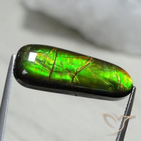 Ammolite Multicolore naturale da 13.66 ct, Taglio a fantasia, Opaco