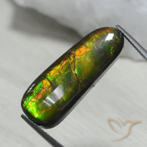Ammolite Multicolore naturale da 13.66 ct, Taglio a fantasia, Opaco