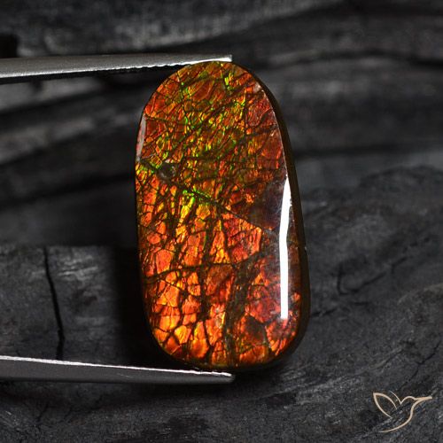 14.13ct Naturale Multicolore Ammolite, Taglio a fantasia, Opaco