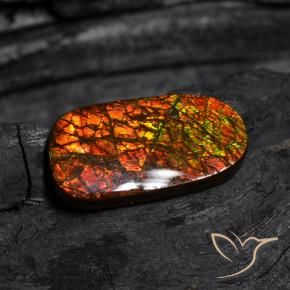 Ammolite Multicolore naturale da 14.13 ct, Taglio a fantasia, Opaco