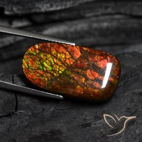 Ammolite Multicolore naturale da 14.13 ct, Taglio a fantasia, Opaco