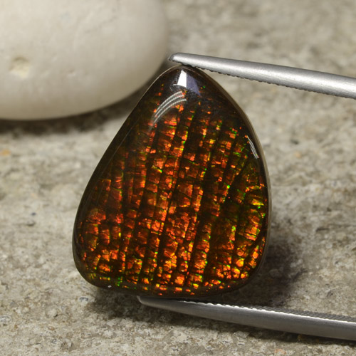 Ammolite naturale multicolore da 14,29 ct, forma fantasia, opaco