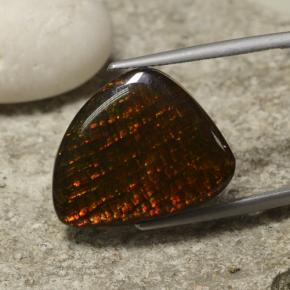 Ammolite naturale multicolore da 14,29 ct, forma fantasia, opaco