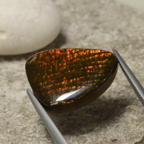 Ammolite naturale multicolore da 14,29 ct, forma fantasia, opaco