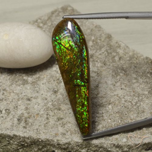 14.49ct Naturale Multicolore Ammolite, Taglio a fantasia, Opaco