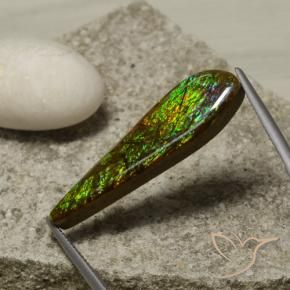 Ammolite Multicolore naturale da 14.49 ct, Taglio a fantasia, Opaco