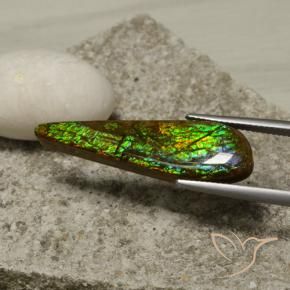Ammolite Multicolore naturale da 14.49 ct, Taglio a fantasia, Opaco