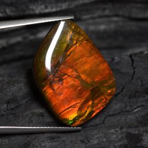 Ammolite naturale multicolore da 15,89 ct, forma fantasia, opaco