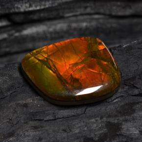 Ammolite naturale multicolore da 15,89 ct, forma fantasia, opaco