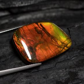 Ammolite naturale multicolore da 15,89 ct, forma fantasia, opaco