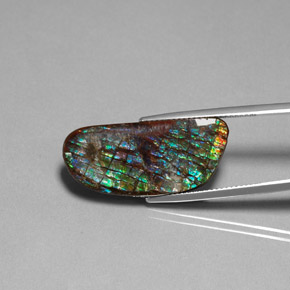 Ammolite multicolore naturale da 16,86 ct, forma fantasia, opaco